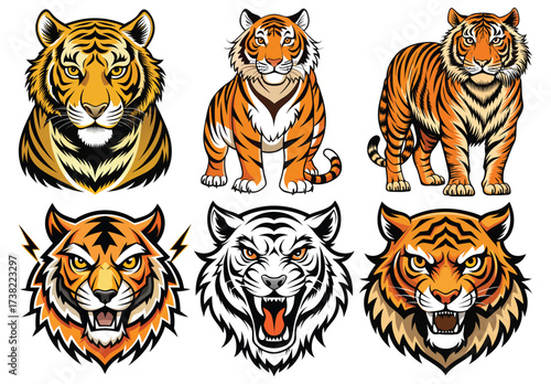 Stock images of cartoon tiger characters and wild animals are available, including striped feline illustrations and vector art of cubs and mammals from the safari or zoo