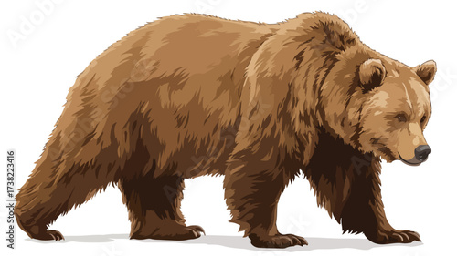 Wild Grizzly Bear Full Body Vector Illustration - Professional Wildlife Artwork