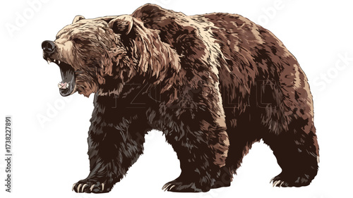 Roaring Grizzly Bear Full Body Design Illustration
