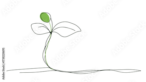 Sprouts Emergence: A Metaphor of Birth and New Beginnings