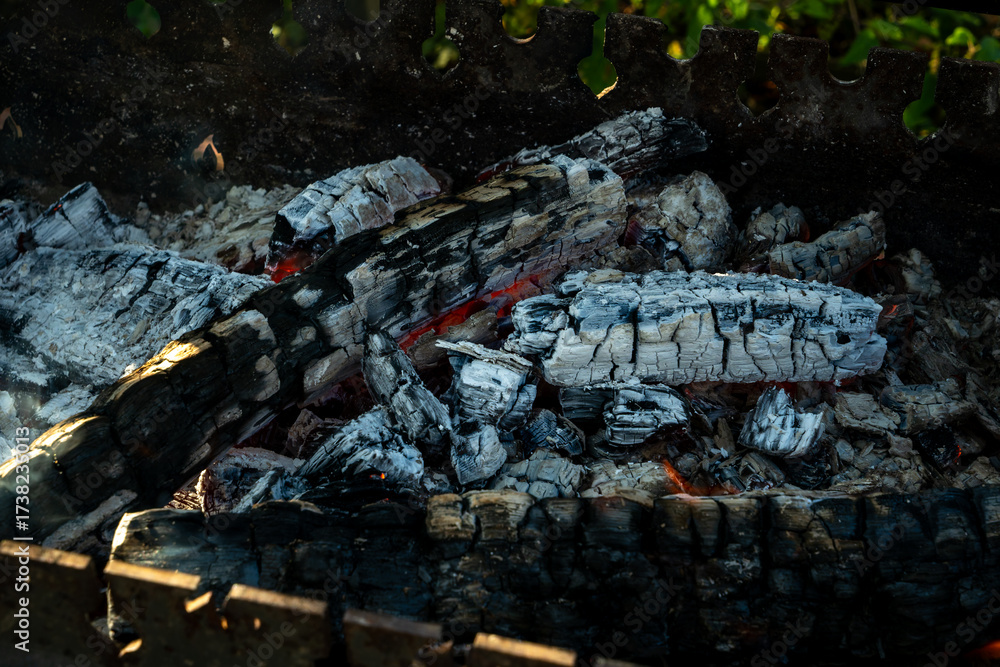 Obraz premium Charred firewood glowing with red embers and white ash in open flame during outdoor burning. The quiet transformation of matter as wood turns to flame ash and ember in elemental cycle of fire.