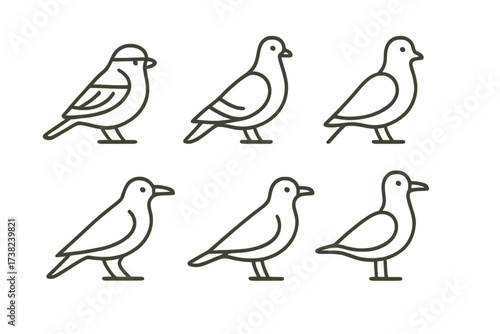 stylized black-and-white bird pigeons illustrations in a minimalist design with contour lines.