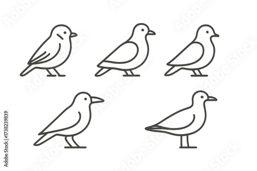 Five stylized black-and-white bird pigeons illustrations in a minimalist design with contour lines.
