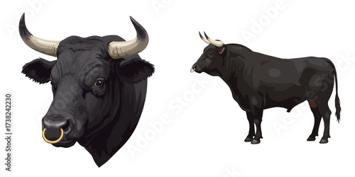 Black bull head and full-body illustration in vector style, set 