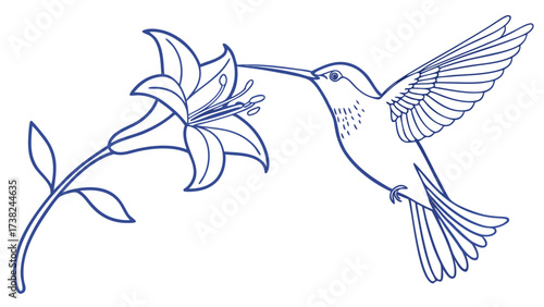 Hummingbird and Lily Illustration in Tranquil Garden Setting