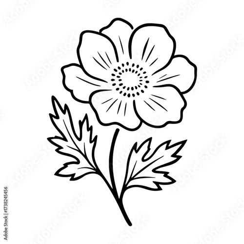 Anemone flower Doodle style. Hand drawn black and white isolated icon. Coloring page, art therapy, line art, logotype. Vector illustration