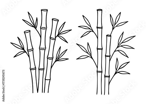 Bamboo plants and stems Doodle style. Hand drawn black and white isolated icon. Coloring page, art therapy, line art, logotype. Vector illustration