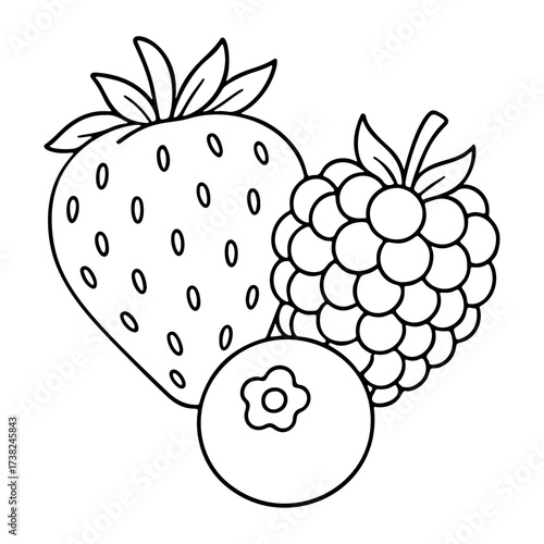 Berries Strawberry, raspberry, blueberry Doodle style. Hand drawn black and white isolated icon. Coloring page, art therapy, line art, logotype. Vector illustration