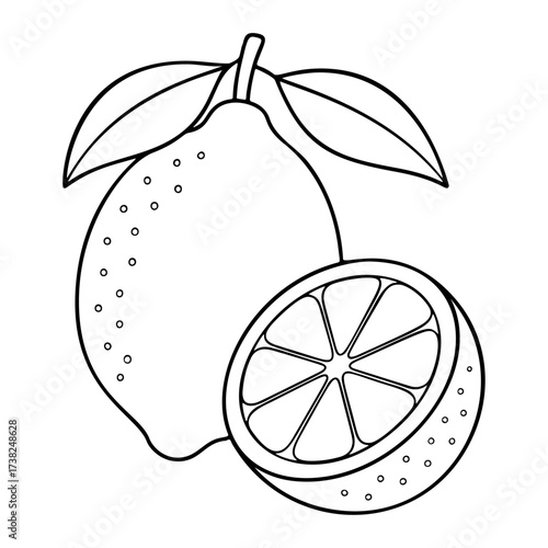 Lemon Doodle style. Hand drawn black and white isolated fresh lemon icon. Coloring page, art therapy, line art, logotype. Vector illustration