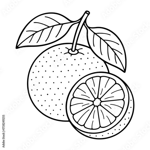 Orange fruit Doodle style. Hand drawn black and white isolated icon. Coloring page, art therapy, line art, logotype. Vector illustration