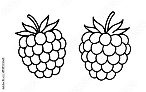 Raspberry Doodle style. Hand drawn black and white isolated icon. Coloring page, art therapy, line art, logotype. Vector illustration