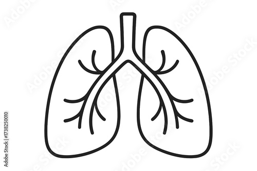 Lungs icon line style. Respiratory system symbol. Human internal organ. Health care, medical, pulmonology, anatomy. Breathing concept. Vector illustration isolated background.