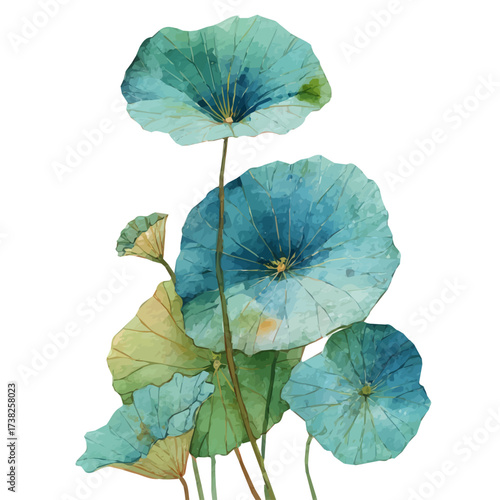 An EPS painting design, Vector illustration set, My Watercolor illustration, lotus leaves painting isolated on a white background