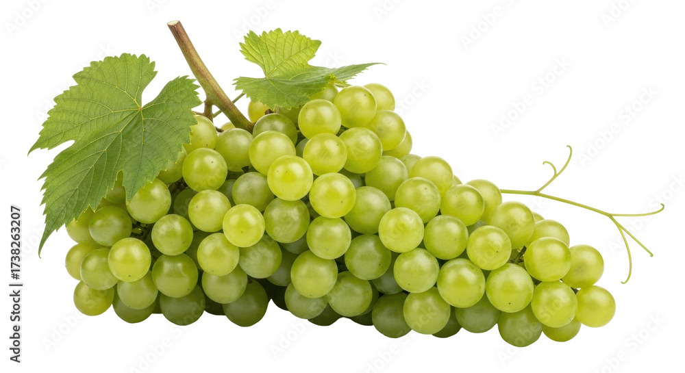 Obraz premium Isolated bunch of ripe green grapes with leaves and stems on a plain background surface