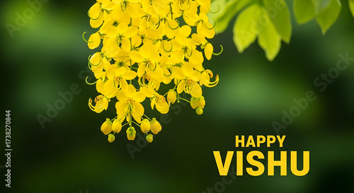 Stunning Golden Shower Cassia flowers for vibrant Vishu festival, traditional Kerala festive bloom on green background.