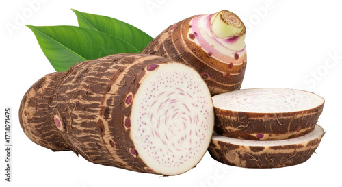 Isolated edible taro roots with green leaves for cooking and other preparations