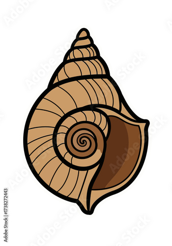Cute Flat Vector Illustration of a Brown Seashell