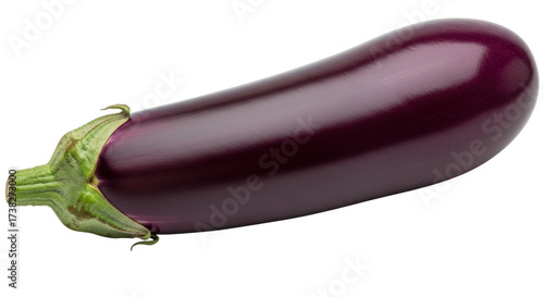 Isolated eggplant single long organic vegetable, aubergine from garden, healthy food, veggie diet