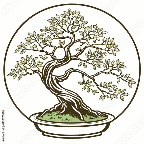 Artistic illustration of a stylized bonsai tree with twisted trunk and green leaves inside a circular frame