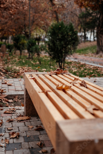 A bench in an autumn park. Fallen leaves on a park bench.