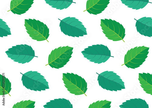 Green mint leaf pattern on white backdrop