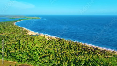 Drone view of sandy beach with coconut palms and blue ocean on paradise island. A quiet summer holiday or a festive landscape. Summer vacation and the concept of a tropical beach in the Caribbean.