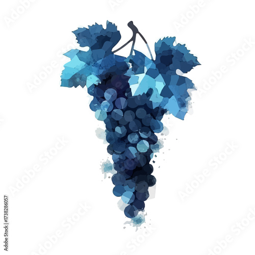  2D design Vector illustration, My Watercolor, hand-painted, simple, flat sliced concord grape painting illustration isolated on a white background, EPS format design. vector illustration