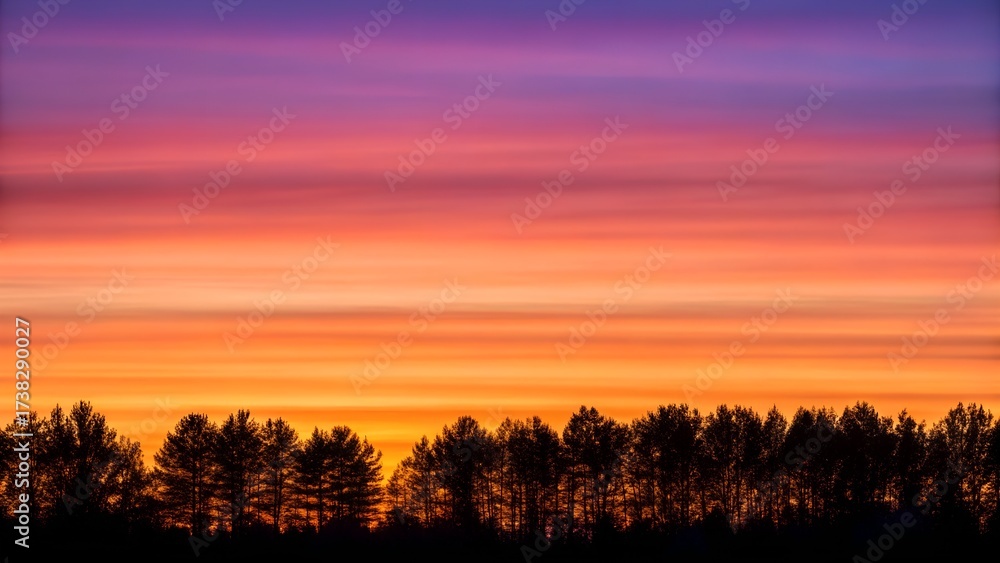 Fototapeta premium Sunset gradient sky with silhouette tree line trees