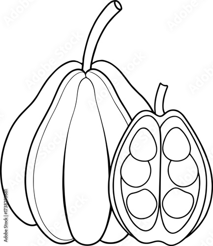 Simple outline sketch of whole fruit with half cut showing seeds minimal fruit drawing for coloring book design