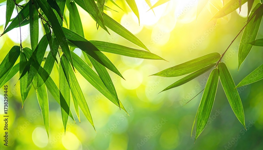 Fototapeta premium Lush Green Bamboo Leaves Framing Soft Bokeh Sunlight with Abstract Bright Yellow Glow Through Bamboo Forest Background