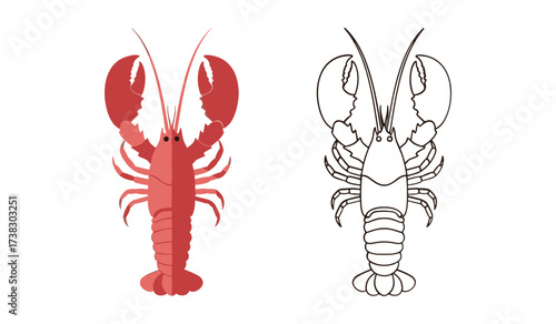 Red lobster illustration and outline on white background crustacean seafood
