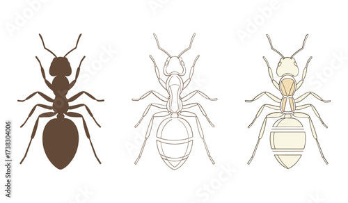 Three ants in different styles brown silhouette outline and cream colored insect line art