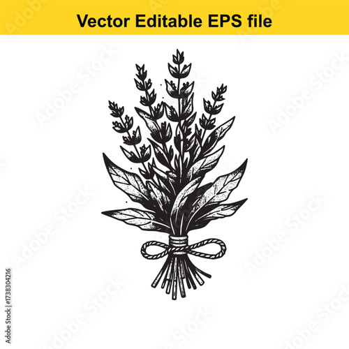 Vector art of hand drawn bunch of lavender flowers