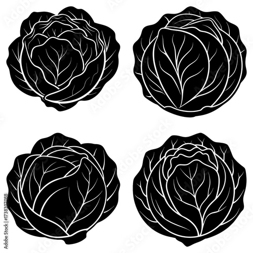 Four black and white cabbages with detailed leaf venation arranged in a square formation on white