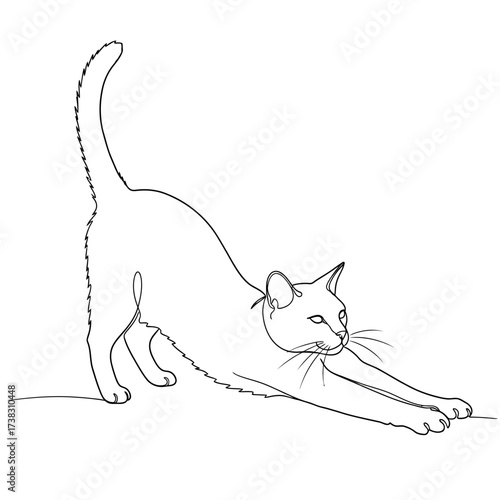 Stretching cat line art minimalist sketch feline grace, black and white continuous line drawing, elegant conceptual artwork isolated on white background design.