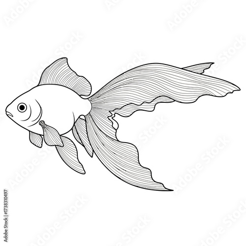 Goldfish swimming line art sketch aquatic life illustration, delicate fins, serenity, black and white minimalist drawing isolated on white background design.