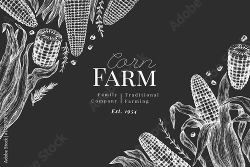 Hand Drawn Vector Sweet Corn Illustration. Not AI Generated. Autumn Seasonal Chalk Board Background. Fall Season Farm Banner. Vintage Harvest Design Template.