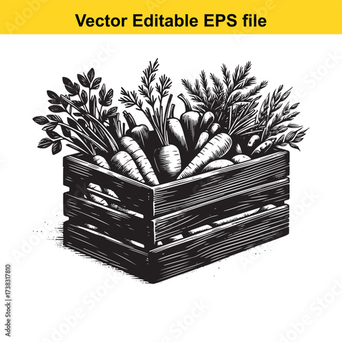 Vector art of fresh carrots in a wooden crate