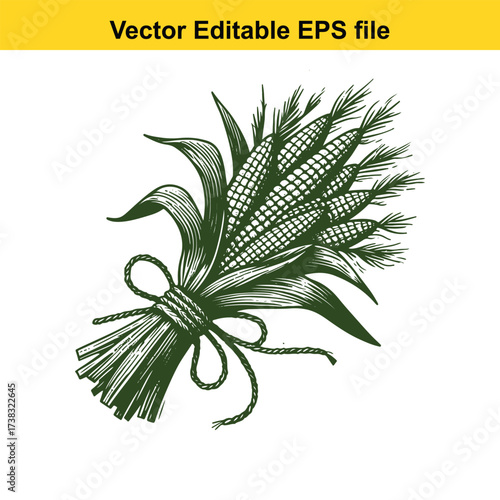 Vector art of bunch of corn cobs tied with a bow