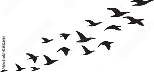 A graceful flock of black birds soars diagonally across a stark white background, creating motion, freedom, and transition. A subtle shadow beneath adds depth