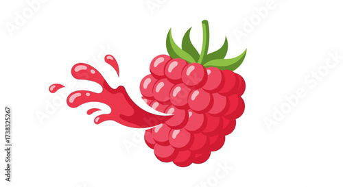 A vibrant illustration of a raspberry with juice splashing out, showcasing freshness.