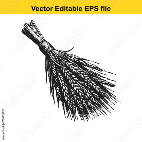 Vector art of sheaf of wheat ears, vector illustration