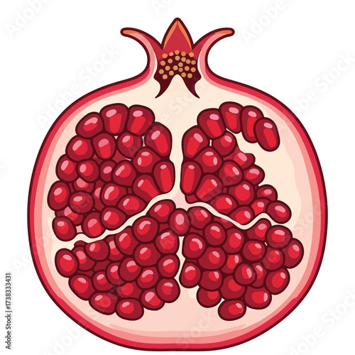 Cartoon Style Half Cut Pomegranate Fruit Illustration on Black Background