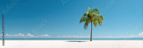 Tropical beach palm tree blue sky sand ocean Minimalist scene with calm mood and open space for copy, bright sunlight