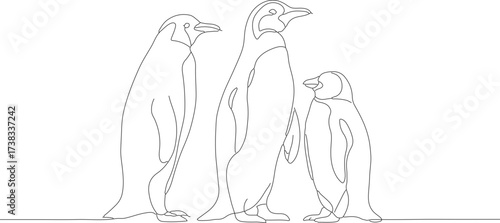 Minimalist Outline Continuous Line Drawing of Penguin Family on White