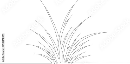 Minimalist Outline Grass Clump Illustration with Simple Linear Design Element