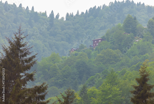 Forested hills with scattered village houses