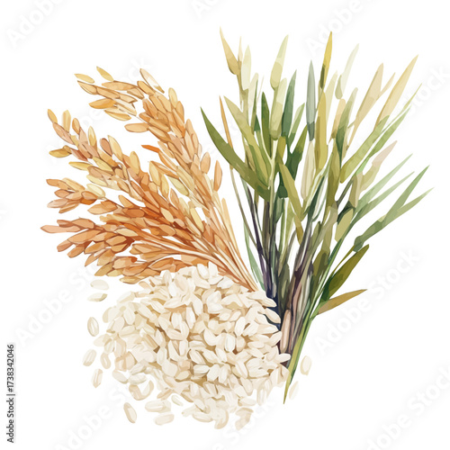 minimal yet artistic elements for creative designs. hand-drawn paint, Simple Illustration, A beautiful painting of basmati rice, EPS format, isolated on a white background, watercolor style