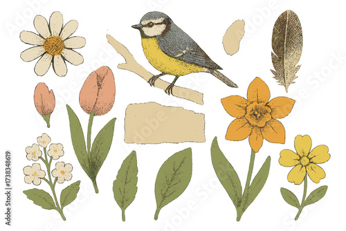 Spring flowers and bird vector collage set. Titmouse, feather, halftone floral art cut-outs. Paper clipping shapes, floral stickers, torn paper. Modern retro grunge aesthetic.