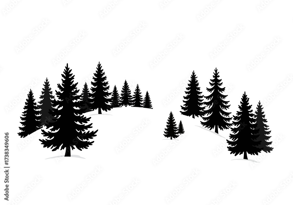 Obraz premium Silhouette of Evergreen Trees in a Winter Landscape.